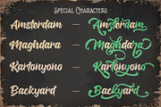The Backyard - Retro Bold Script, a Script Font by figuree studio (Thumbnail 3 of 8)