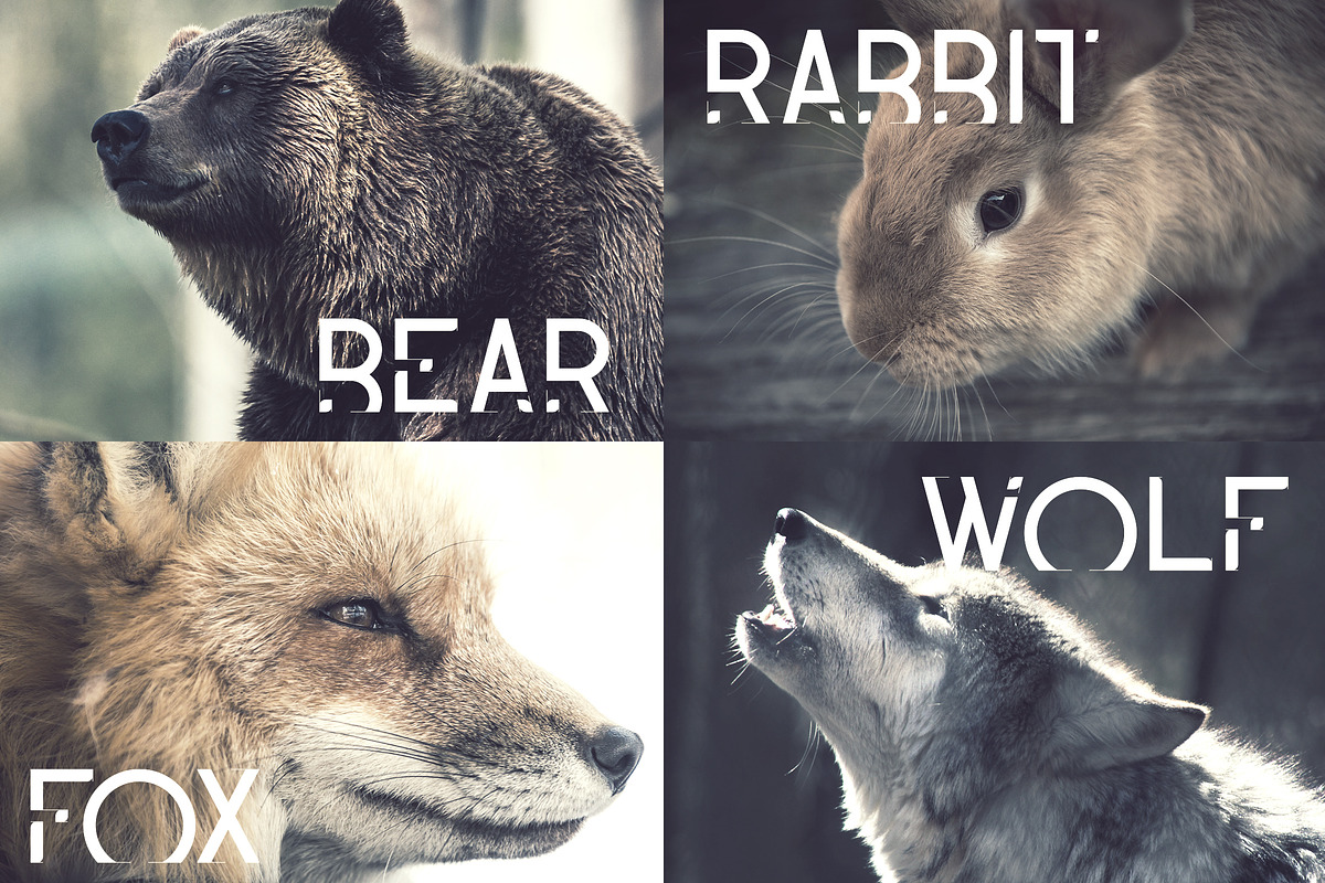 Serendius - Display font preview 3