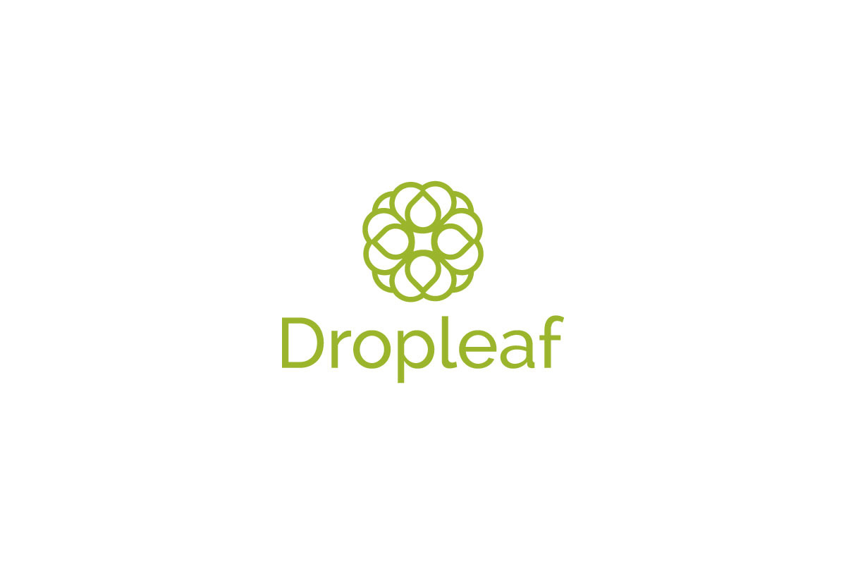 Modern Nature-Inspired Leaf Logo preview 7