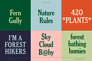 Day Fog – Hand drawn Vintage Serif, a Serif Font by Vicarel Studios (Thumbnail 10 of 12)