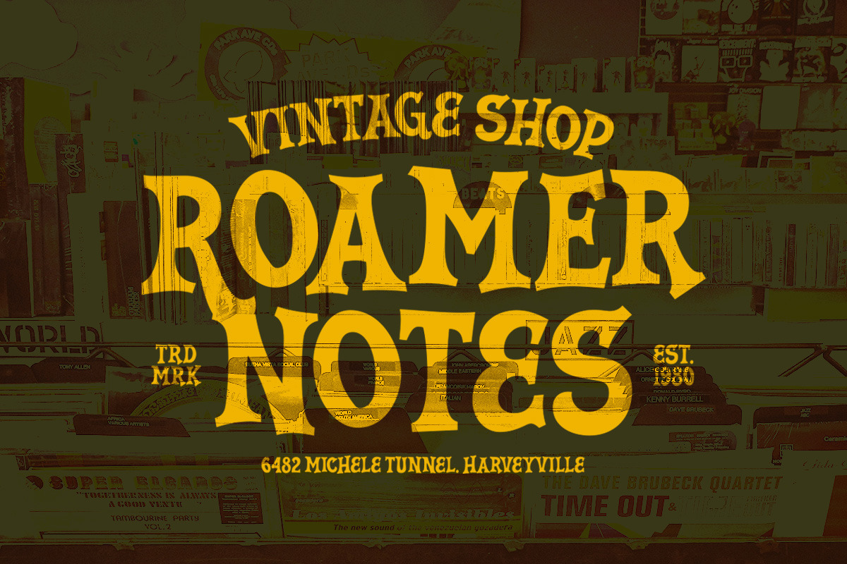 String Hopper - Display Font, a Serif Font by Letterhend Studio (Photo 7 of 9)