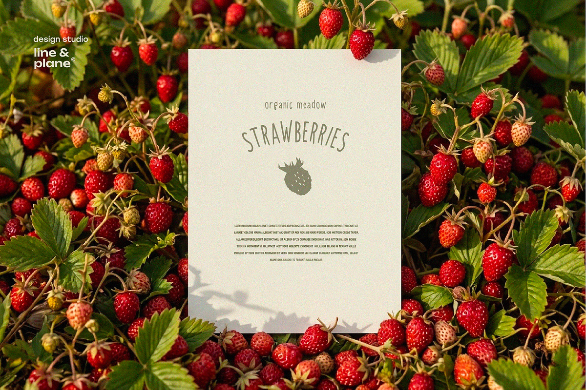Organic Meadow Strawberries, an Object Graphic by line & plane (Photo 6 of 7)