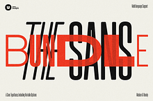 The Sans Bundle - 6 Complete Fonts