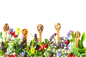 Various medicinal herbs and flowers, a Food & Drink Photo by yanadjana