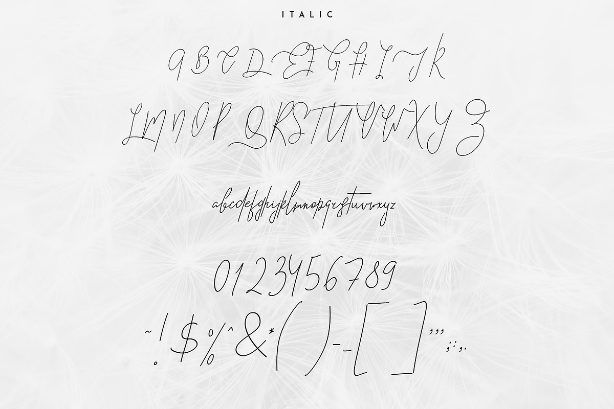 Good Wish Signature font -30% preview 8