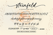 Steinfeld a Handwritten Font, a Script Font by Vilogsign (Thumbnail 10 of 11)