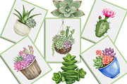 Watercolor Succulent Clipart, an Illustration by Creative Art (Thumbnail 5 of 10)