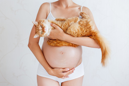 Pregnant woman with cute cat containing pregnant, pregnancy, and woman