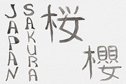 Sakura.  Japanese ink creator, an Illustration by GraphicHouse (Thumbnail 7 of 10)