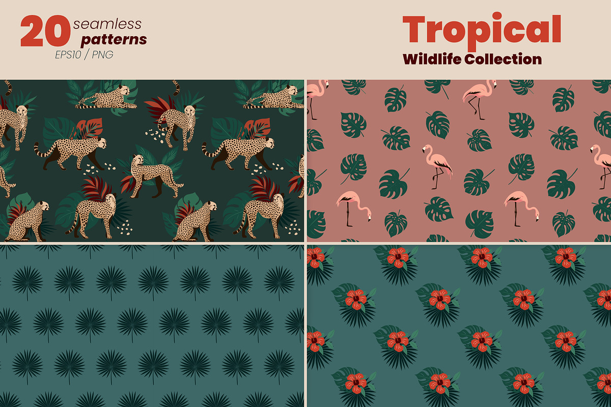Tropical Wildlife Collection, a Decorative Illustration by moja doodle (Photo 7 of 8)