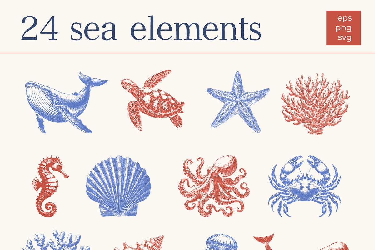 Undersea World - vector &png, an Animal Illustration by Anatartan Design (Photo 2 of 13)