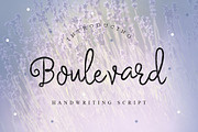 FONT BUNDLE - SHOP BUNDLE, a Script Font by Face Lab (Thumbnail 7 of 18)