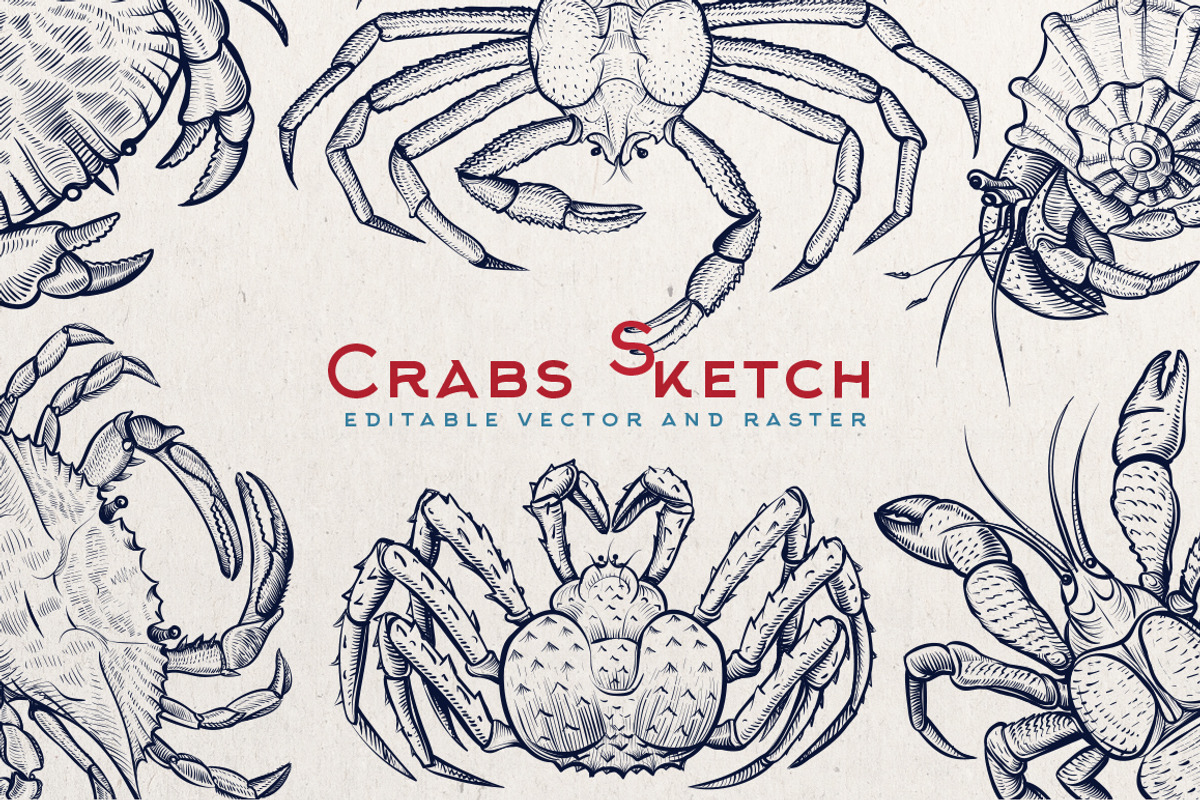 Crab Sketch Editable illustrations, an Object Graphic by Aquatinta (Photo 1 of 11)