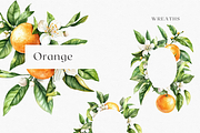 Orange Blossom - Watercolor Set, a Decorative Illustration by ThaismotaCreativeCo (Thumbnail 6 of 9)