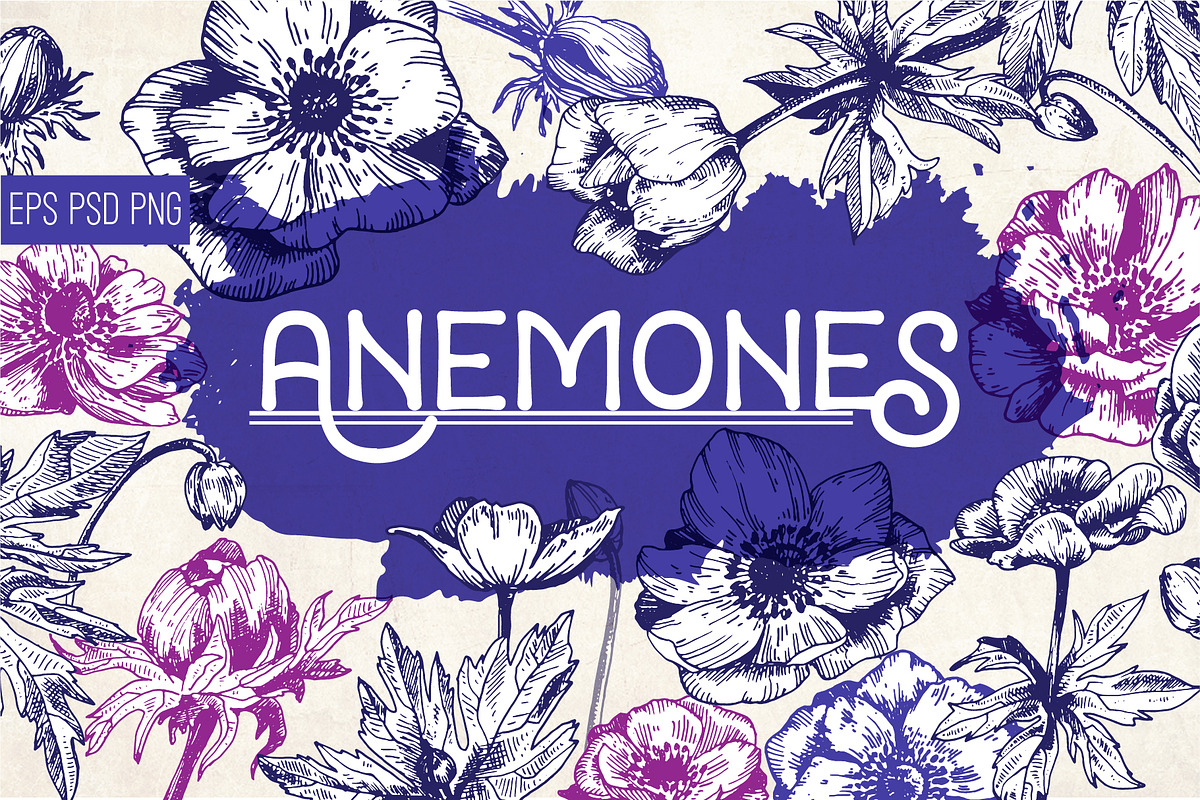 Anemones. Ink flower set, an Illustration by Alena Kaz (Photo 1 of 5)