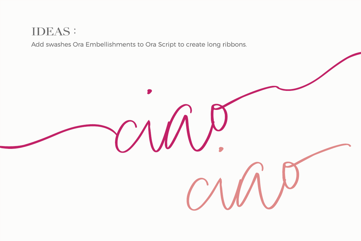 Ora Erwin : Signature Font Duo, a Script Font by KLUGE+CO (Photo 15 of 19)