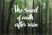 Petrichor Typeface, a Script Font by dreamwaves (Thumbnail 2 of 5)