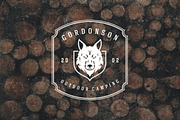 50 Outdoor logos and badges, a Branding & Logo Template by Vasya Kobelev (Thumbnail 18 of 19)