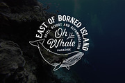 The 888 Lucky Bundle, a Sans Serif Font by Konstantine Studio (Thumbnail 2 of 14)