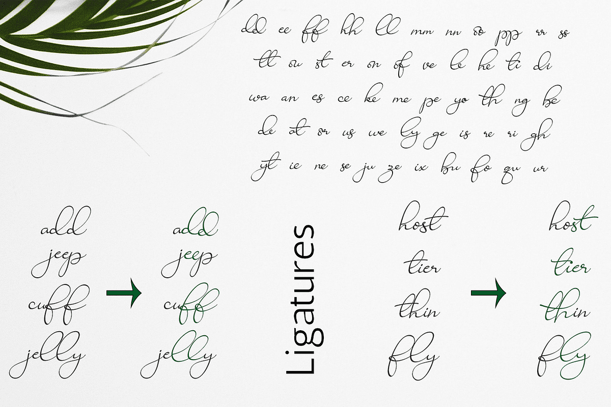 Ravishing Solidago Font, a Handwritten Font by Letterhanna Studio (Photo 3 of 21)