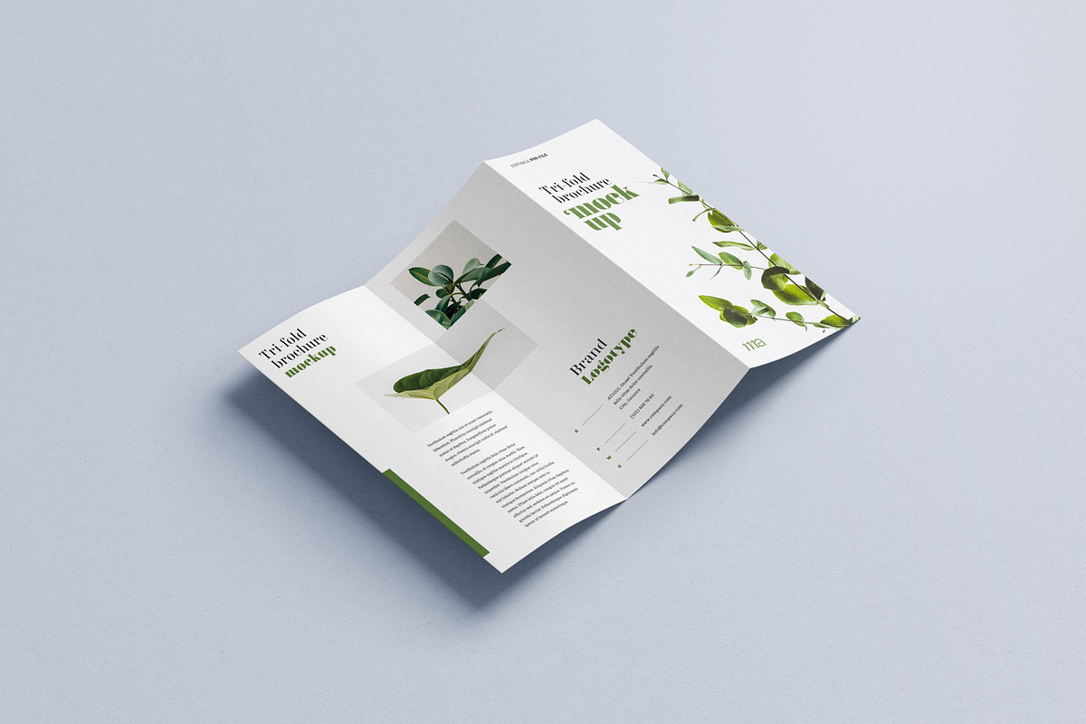 Trifold Brochure Mockup, a Print Template by mockupatelier (Photo 4 of 15)