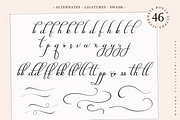 Jasmine, a Script Font by Larin Type Co. (Thumbnail 5 of 6)
