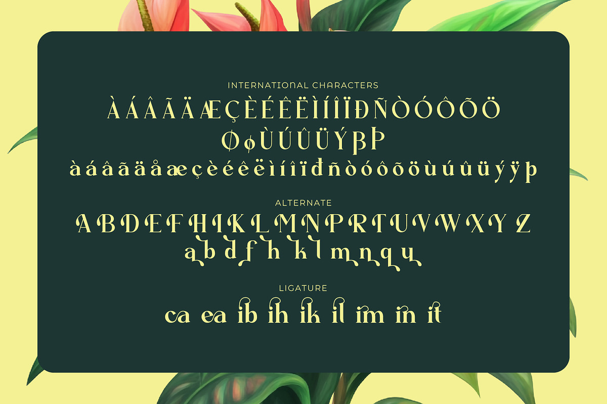 Zearlith - Modern Serif Font, a Serif Font by Rishsketch (Photo 14 of 15)