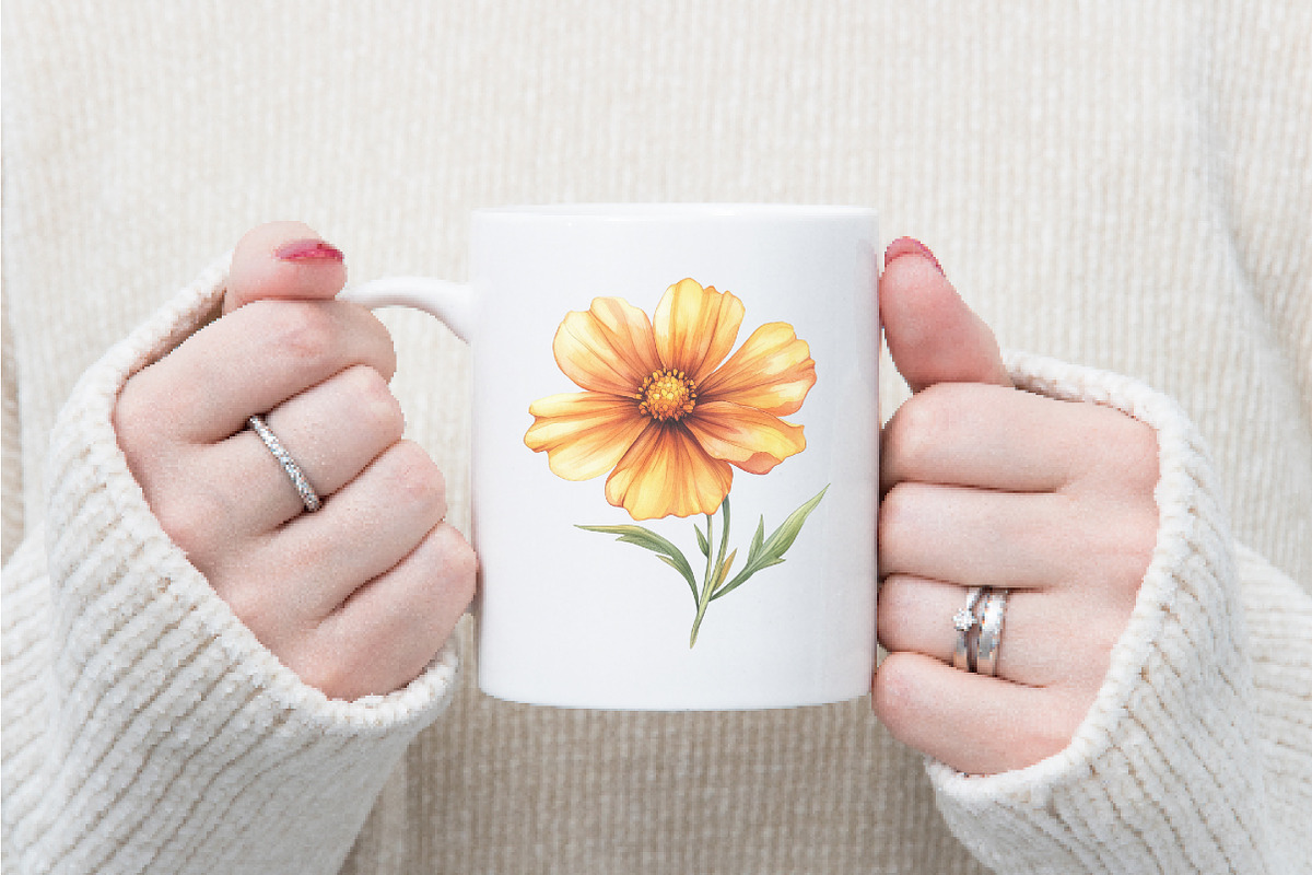 Coreopsis Flower Watercolor Clipart, an Illustration by Watercolor design (Photo 8 of 10)