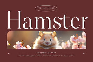 Hamster Modern Serif Font