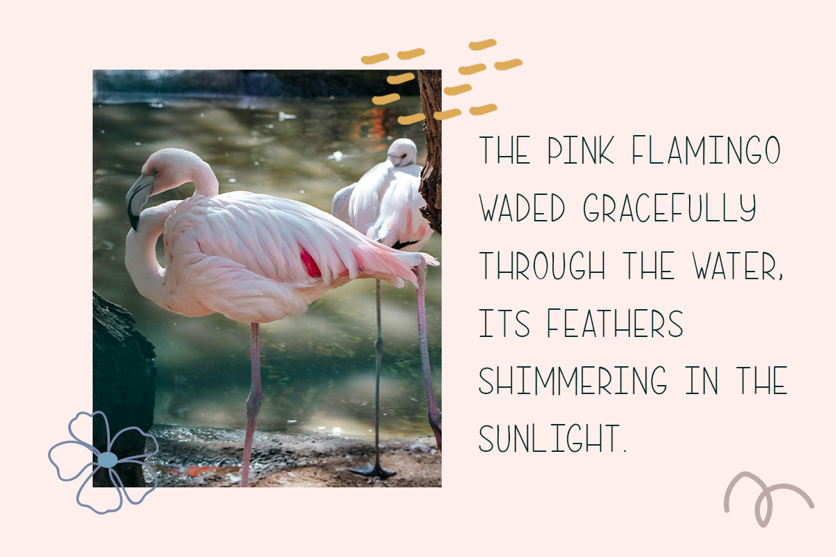 Binky Loop - Authentic Modern Script, a Handwritten Font by roomspace creative lab (Photo 9 of 10)