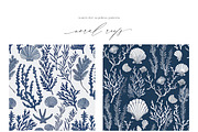 New! Summer + Fall Edition Bundle, a Seasonal Illustration by Isabelle Salem (Thumbnail 207 of 272)