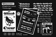 Dv Audley, a Script Font by Damelev (Thumbnail 2 of 15)