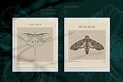 SKULLS, BUTTERFLIES AND ROSE HIP, a Texture Illustration by LanaDzi (Thumbnail 4 of 12)