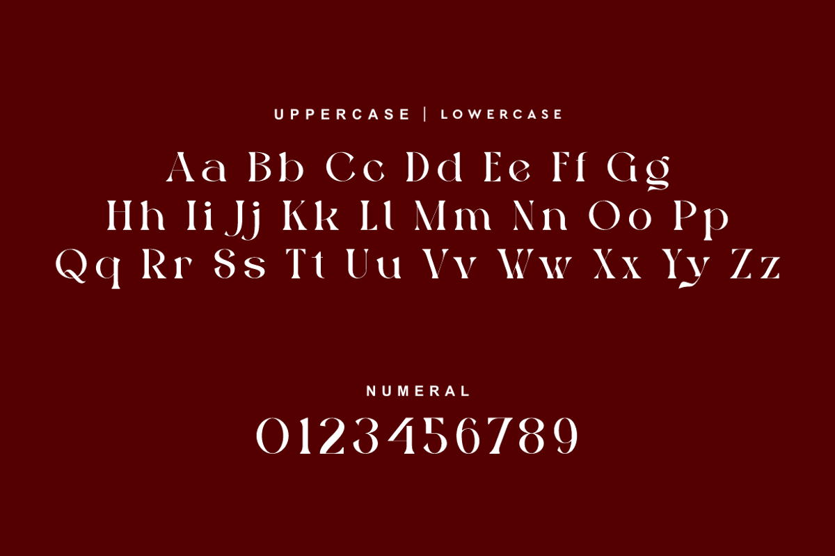Etyelfy - Luxury Elegant Font, a Serif Font by QR Design Studio (Photo 7 of 14)