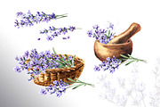 Lavender Mood, a Decorative Illustration by Daria Ustiugova (Thumbnail 7 of 14)