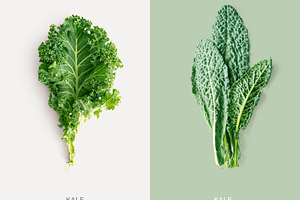 Kale stock photo containing agriculture and antioxidant
