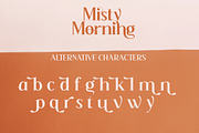 Misty Morning, a Serif Font by Funtype (Thumbnail 12 of 15)
