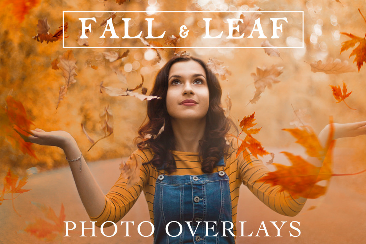 70 Natural Falling Leaf Overlays, a Layer Style Add-On by CityTurtles (Photo 1 of 9)