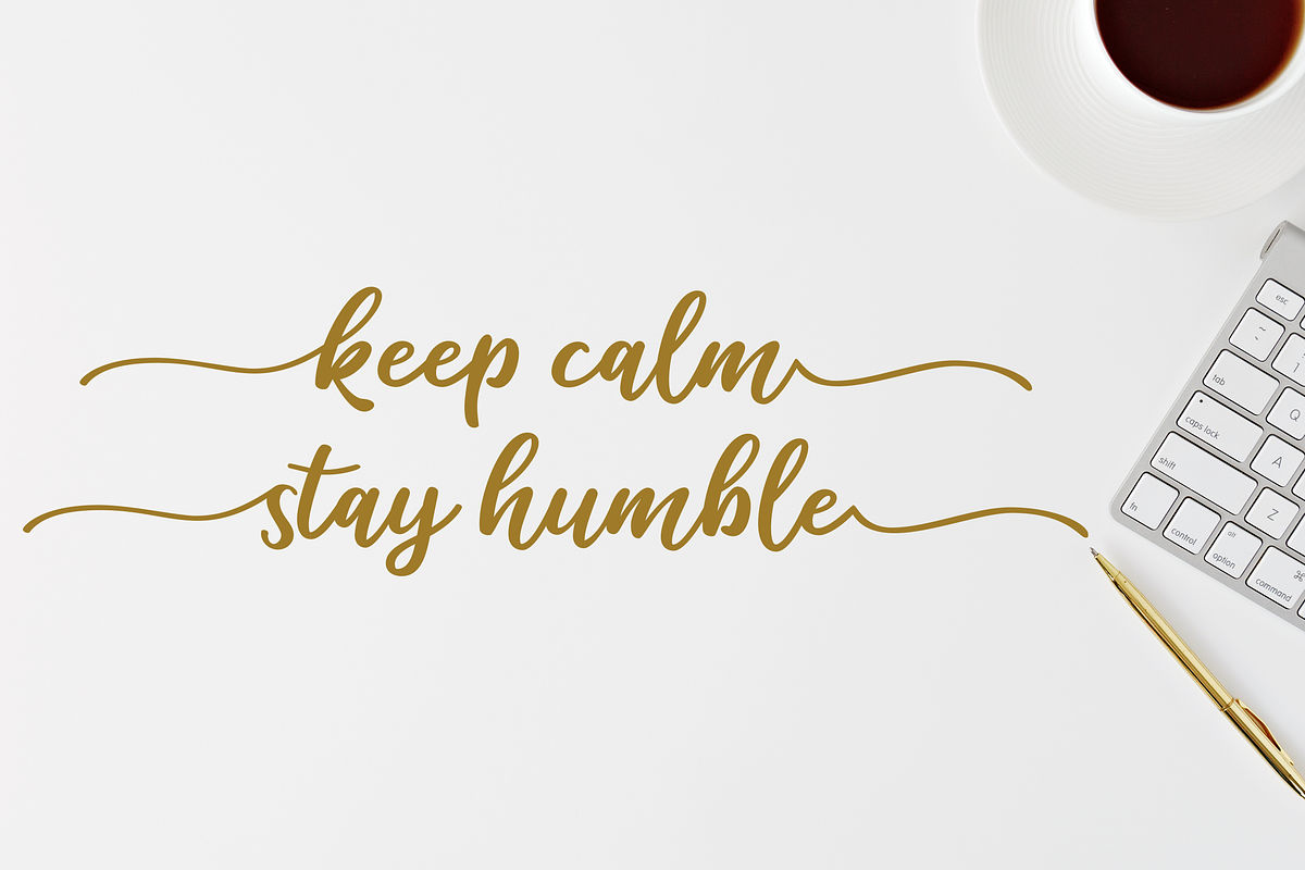 Salika // Bold Script Font preview 6