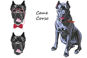 Dog Black Cane Corso SET