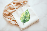 Green Summer Foliage Clipart, an Illustration by Watercolor design (Thumbnail 8 of 10)