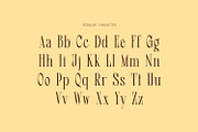 Dear Logical - Display Serif Font, a Serif Font by Matsero (Thumbnail 2 of 8)