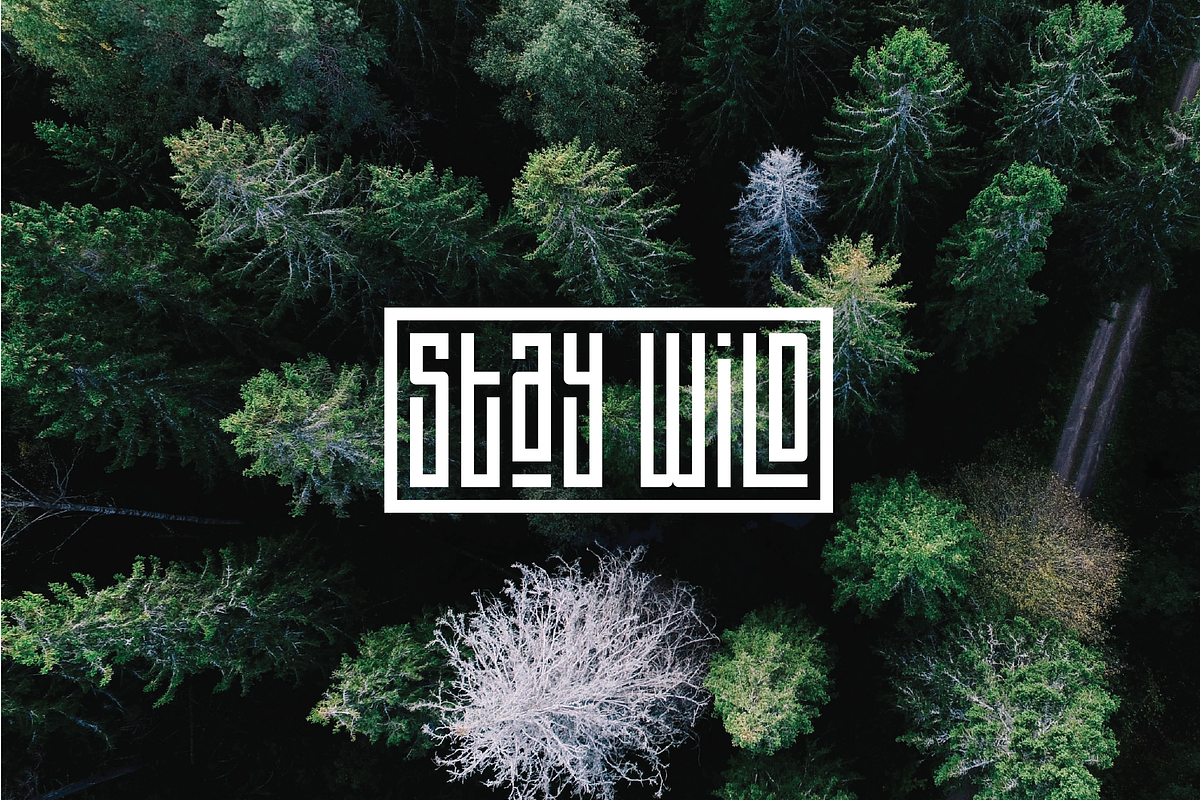 Basalte Fonts Family - 30% OFF!!, a Font by Francis Chouquet (Photo 9 of 9)