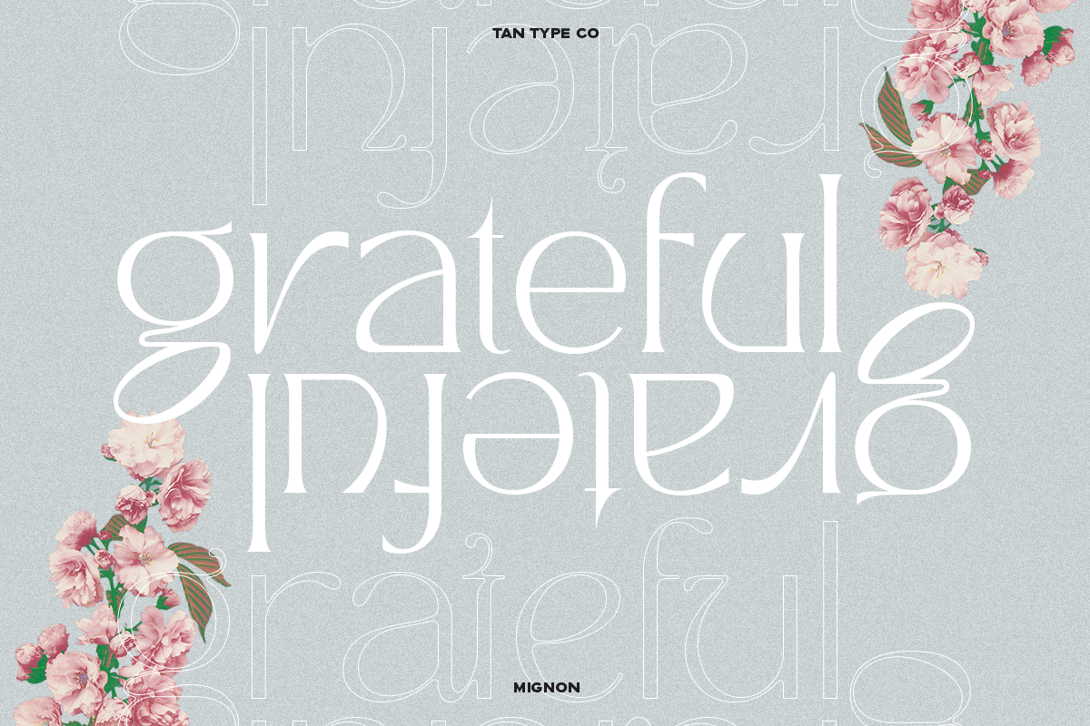 Tan Mignon Font Free Downloadv - UIFreebies
