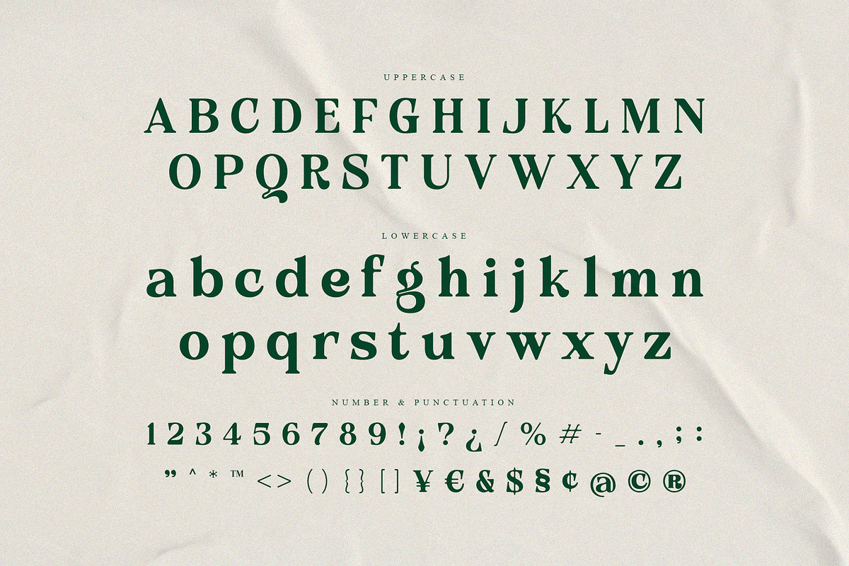 Belcino — Editorial Serif Font, a Serif Font by Almeera Std (Photo 9 of 10)