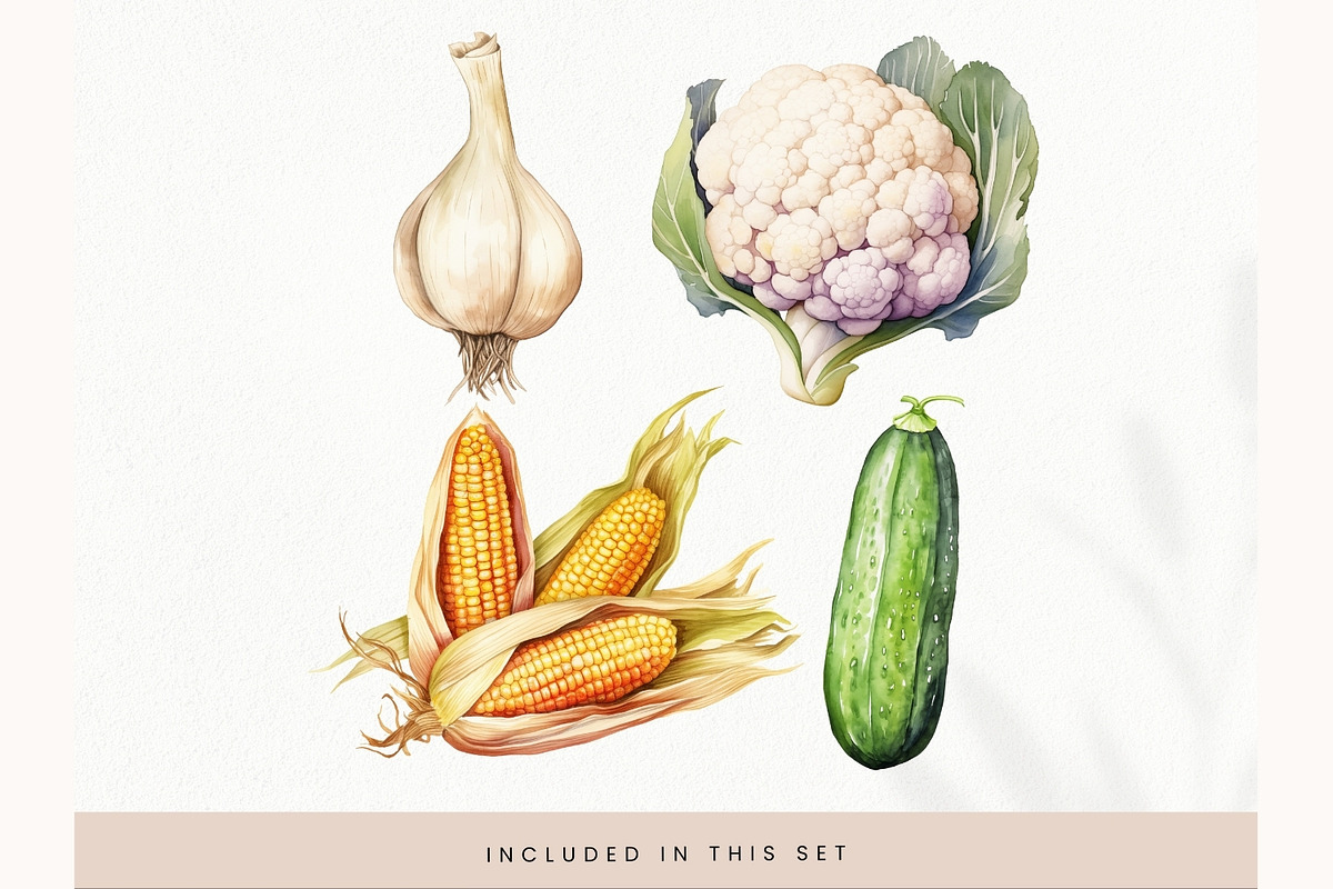 Watercolor Vegetables Clipart, Fresh, a Decorative Illustration by illuztrate (Photo 6 of 9)