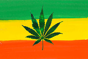 Weed. Stoner gadgets & accessories, a Healthcare Illustration by Margo Miller (Thumbnail 41 of 45)