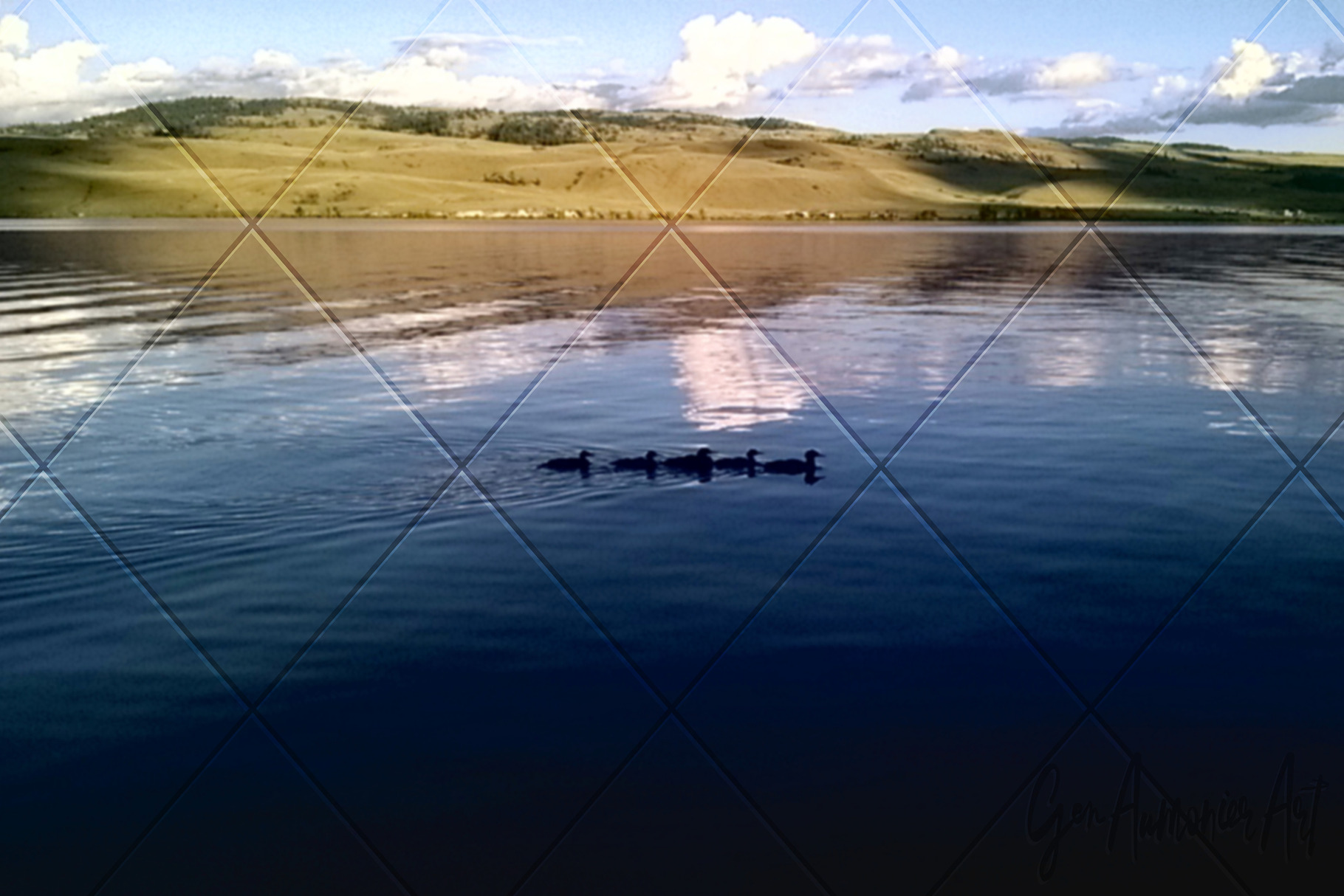 Family of Ducks on a Lake Photograph, an Animal Photo by Gen Aumonier