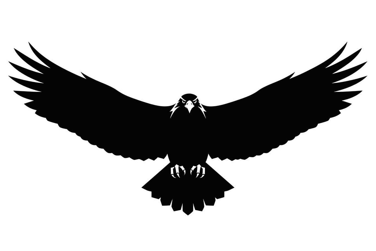 50 Flying Eagle Silhouette Vector Bu, an Illustration by Designs_River (Photo 39 of 51)