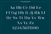 XXII Elissa, a Serif Font by Doubletwo Studios (Thumbnail 16 of 25)